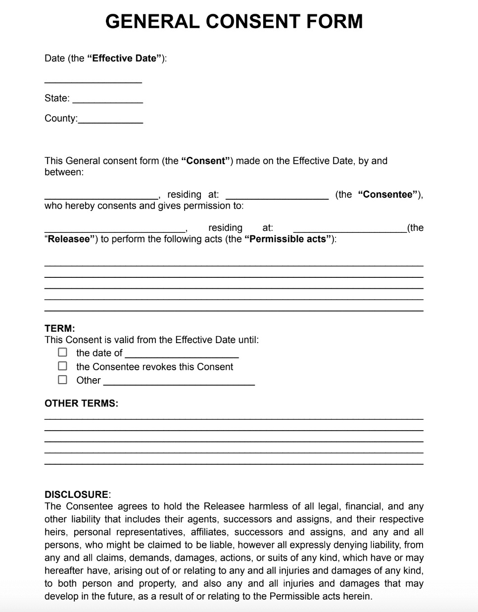 Consent Form Example